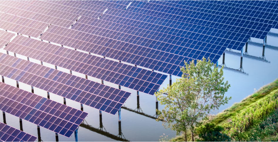 6731������Ϸ��(�й���)�ٷ���վ